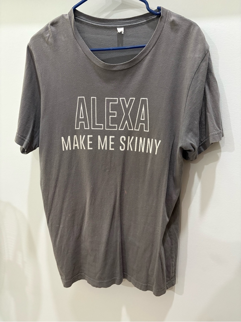 Alexa Make Me Skinny Graphic Tee - Gray